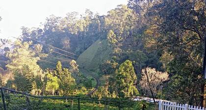 Windsor Forest Bungalow