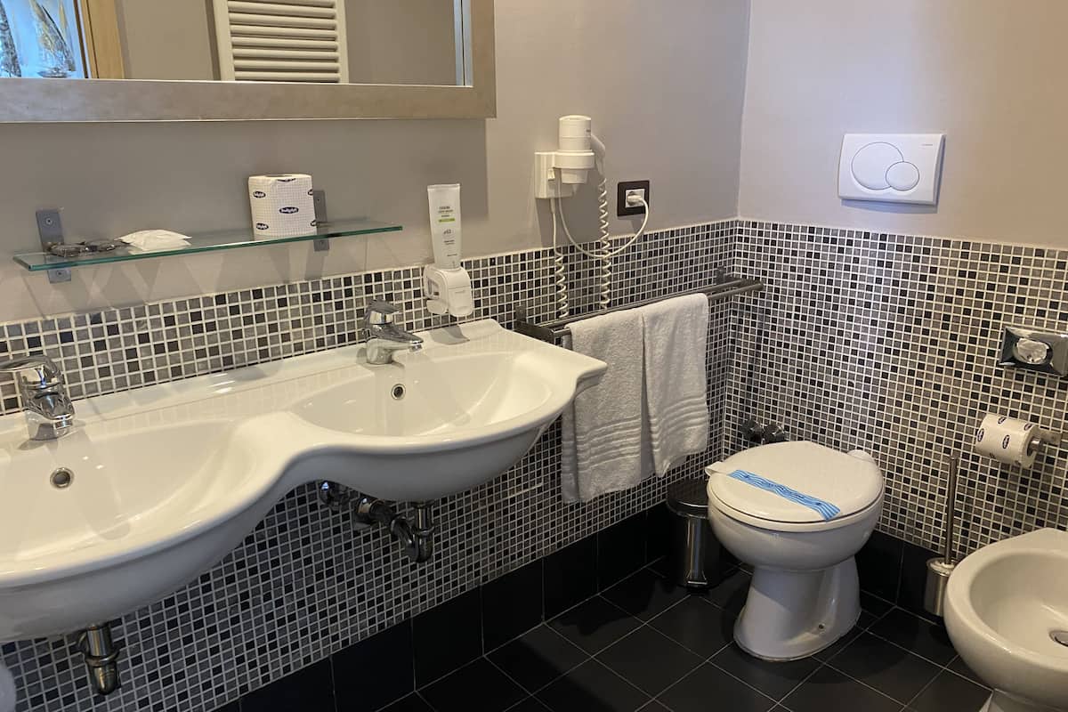 shower, free toiletries, hair dryer, bidet