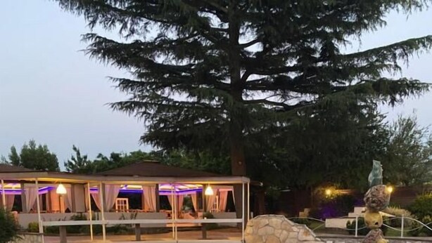 A pool with lily pads and a stone sculpture. - Domus Park Hotel & SPA (Frascati)