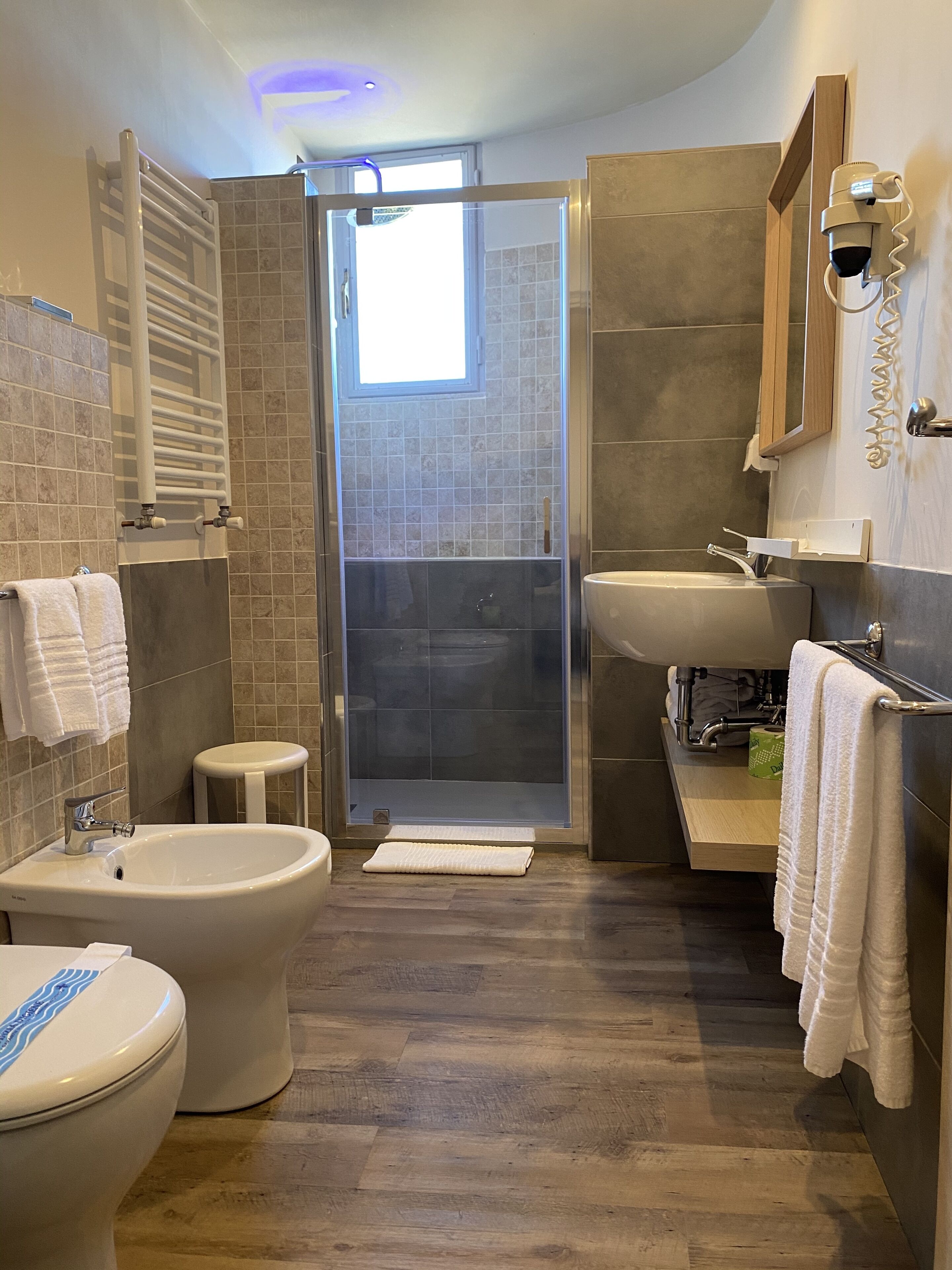 shower, free toiletries, hair dryer, bidet