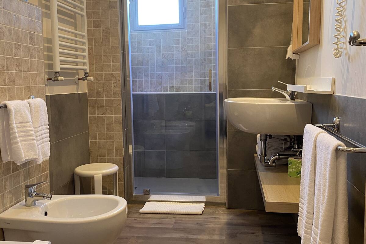 shower, free toiletries, hair dryer, bidet