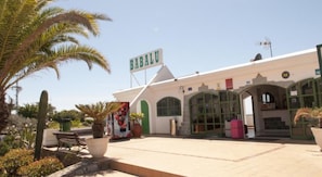 A building with a sign reading 'BARALU,' featuring a central entrance with a glass door, a tiled roof, and a surrounding garden with cacti and potted plants. - Babalu (Mogan)