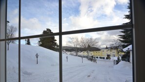 View from room - Schwarzwald Apartments (Schluchsee)