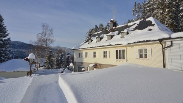 Exterior - Schwarzwald Apartments (Schluchsee)