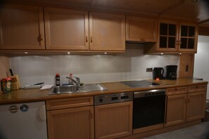 Apartment, 1 Bedroom, Lake View | Private kitchen