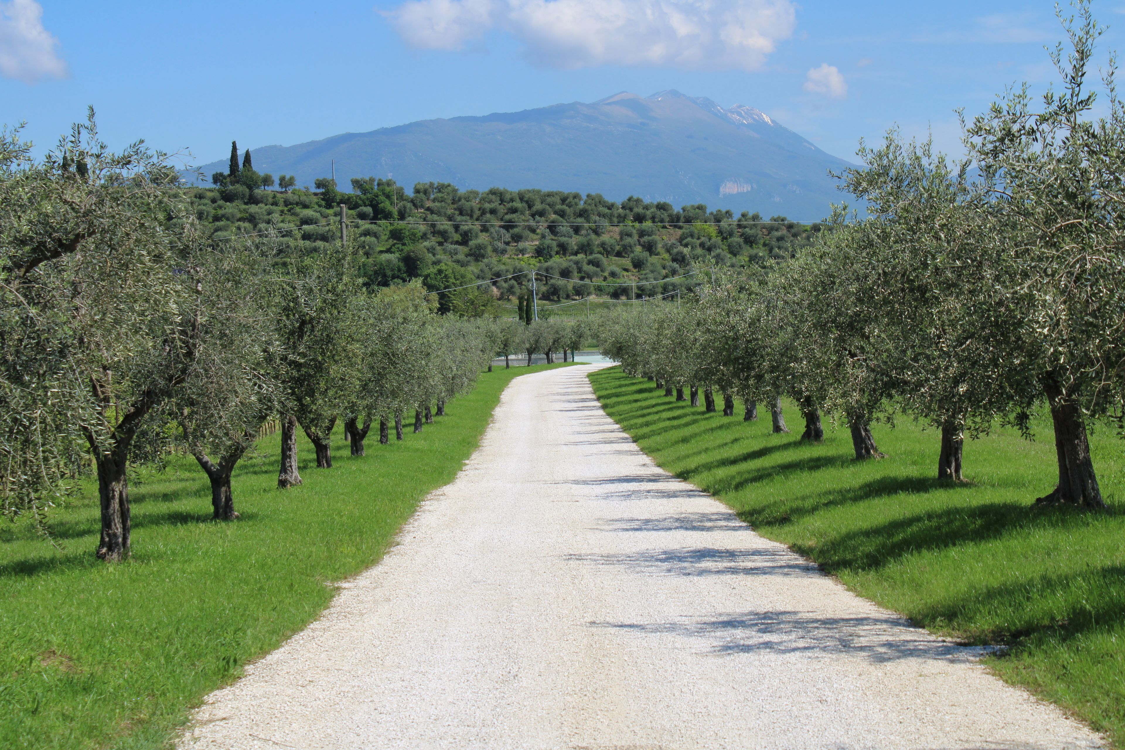 Foto - Borgo Romantico Green Relais