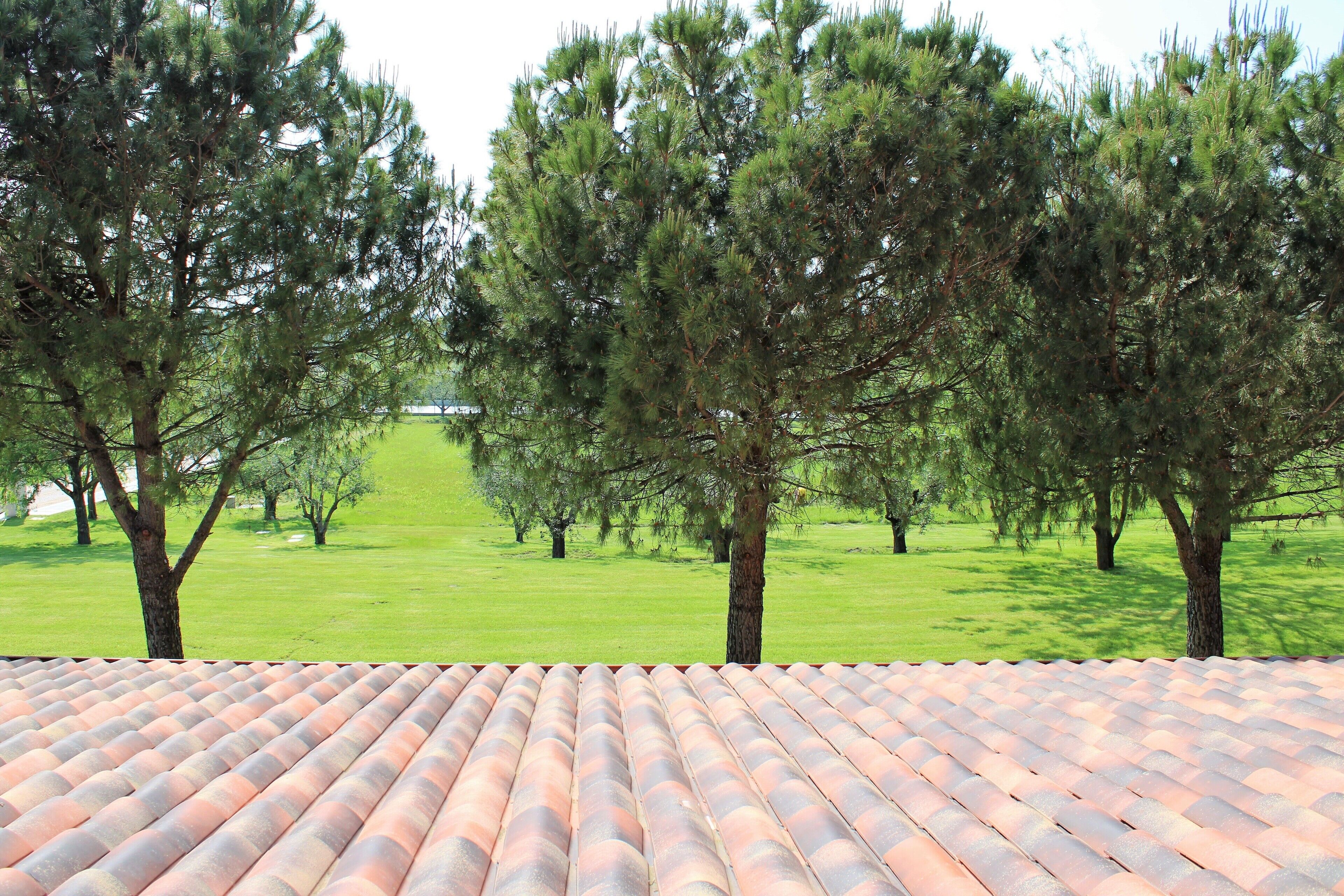 A roof with a terracotta tile pattern.