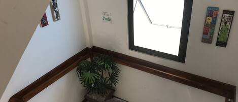 Una escalera con barandilla de madera, una planta en maceta y un ventanal con marco de metal.