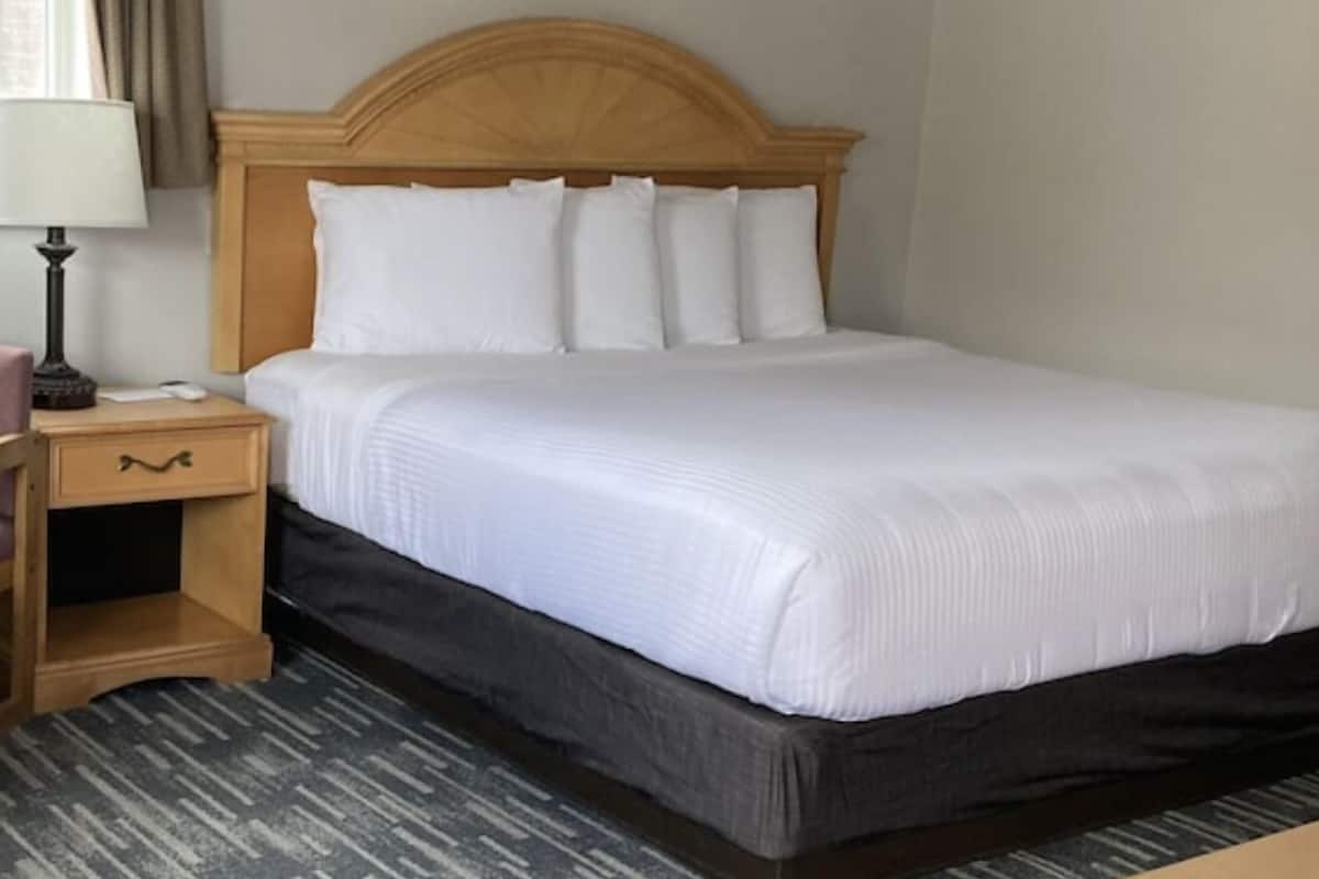 Una habitación de hotel con cabecera de madera, una cama individual con ropa de cama blanca, una mesita de noche con lámpara y una alfombra estampada.
