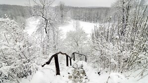 Un sendero cubierto de nieve que atraviesa un bosque de árboles desnudos y una vista distante de un lago.
