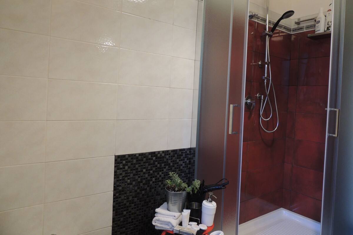 A modern bathroom with a glass-enclosed shower, white and black tiled walls, and a small plant on the counter.