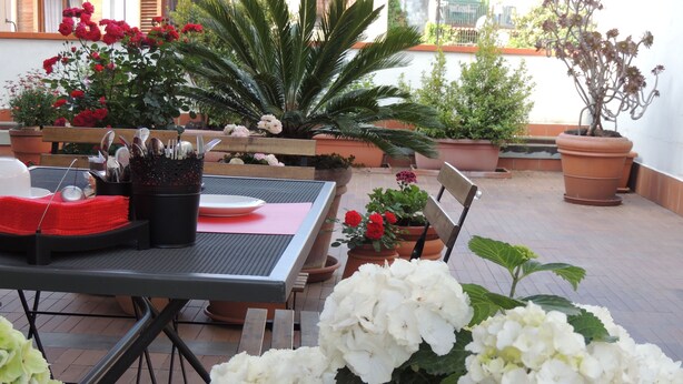 Un patio con una mesa lista para comer, rodeado de macetas con plantas y flores.