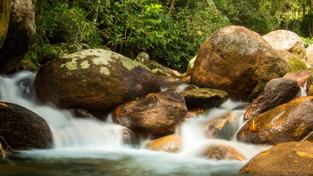A stream flowing over rocks in a forested area. - Hotel Caldas da Imperatriz (Santo Amaro da Imperatriz)