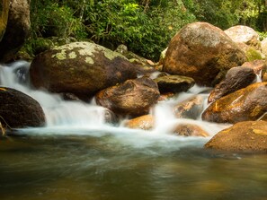 A stream flowing over rocks in a forested area. - Hotel Caldas da Imperatriz (Santo Amaro da Imperatriz)