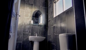 Deluxe Room | Bathroom | Shower, free toiletries, towels