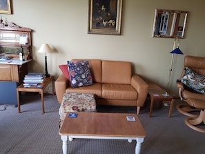 Flat-screen TV, DVD player, books, video library