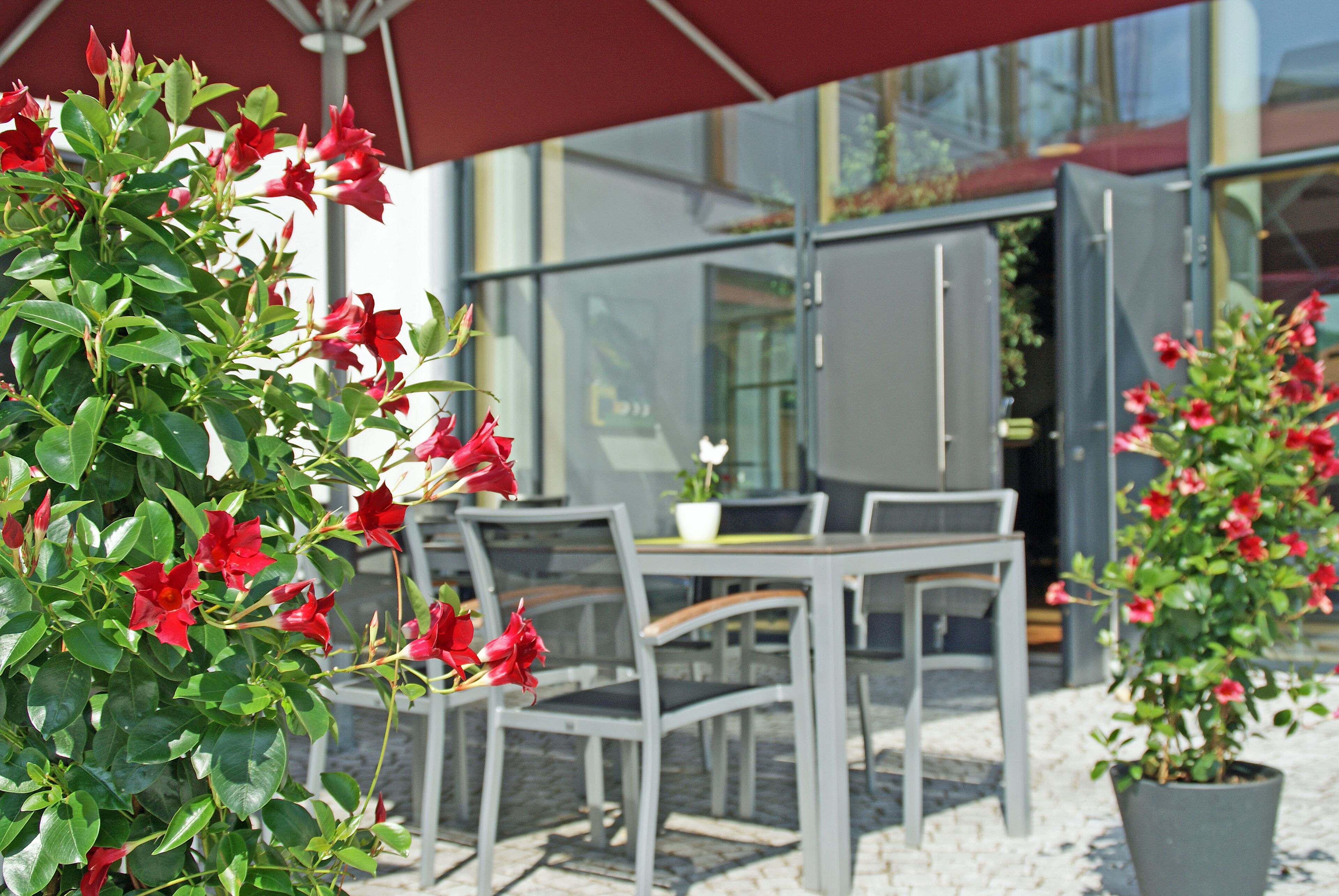 Zonneterras