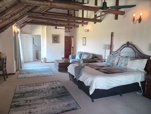 Luxury rooms Bed & breakfast | 起居区 | 32-英寸智能电视(配备卫星频道)