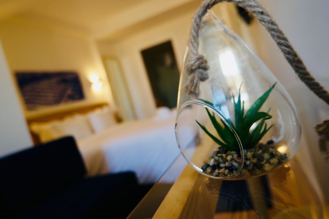 Terrario de vidrio transparente con una planta suculenta y guijarros sobre una superficie de madera.