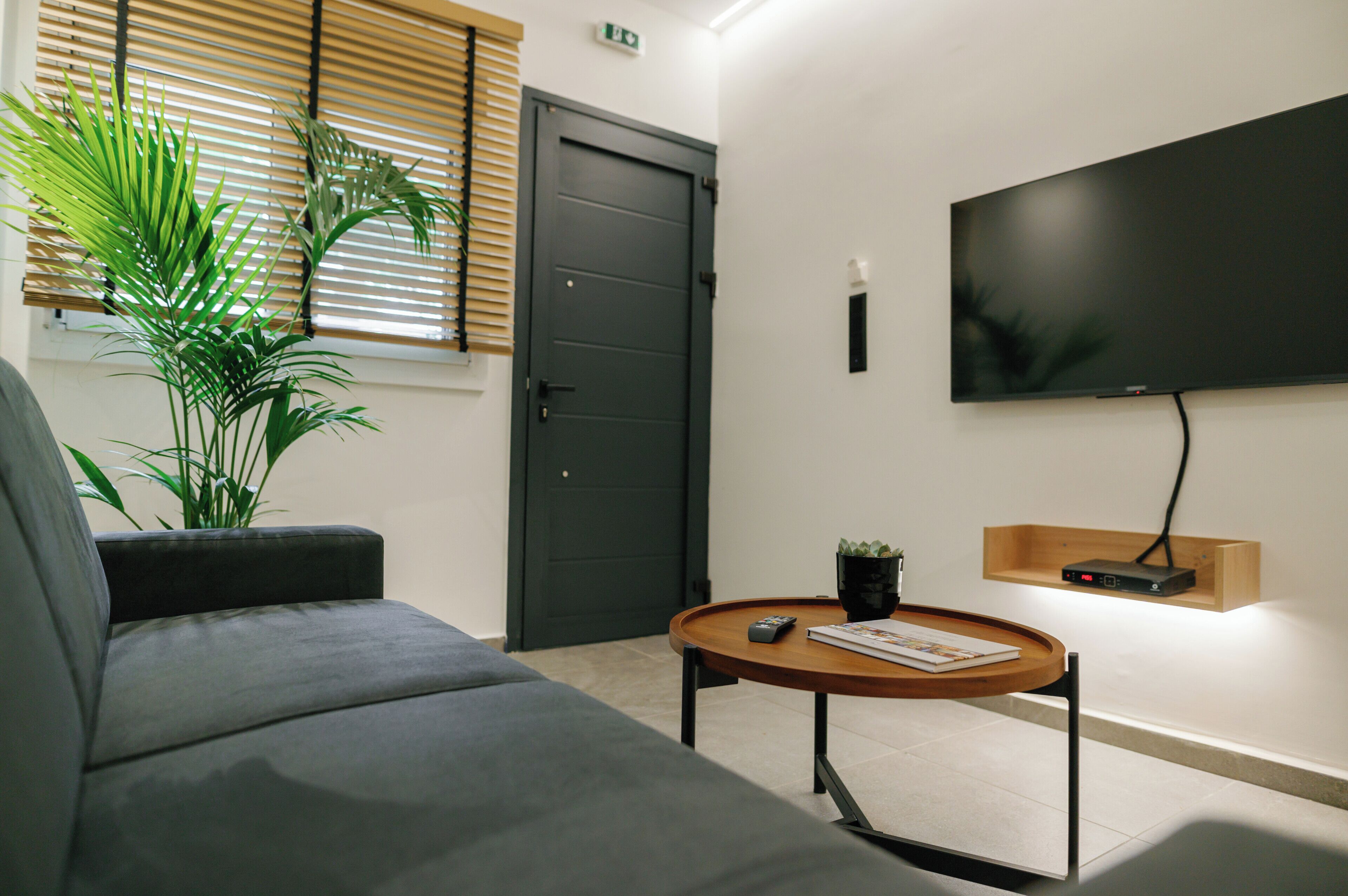 A modern living room with a grey sofa, a wooden coffee table, a potted plant, and a flat-screen TV mounted on the wall.