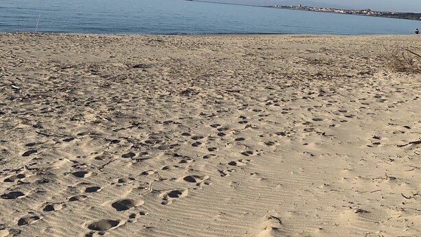 En sandstrand med fotspår och en klarblå himmel.