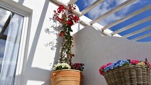Une plante en pot avec des fleurs rouges et un panier en osier avec des fleurs bleues sur un balcon.
