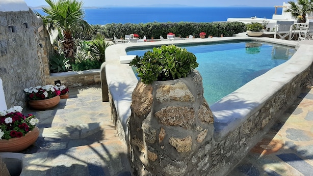Une piscine bordée de pierres, entourée de plantes en pot et de mobilier d’extérieur.