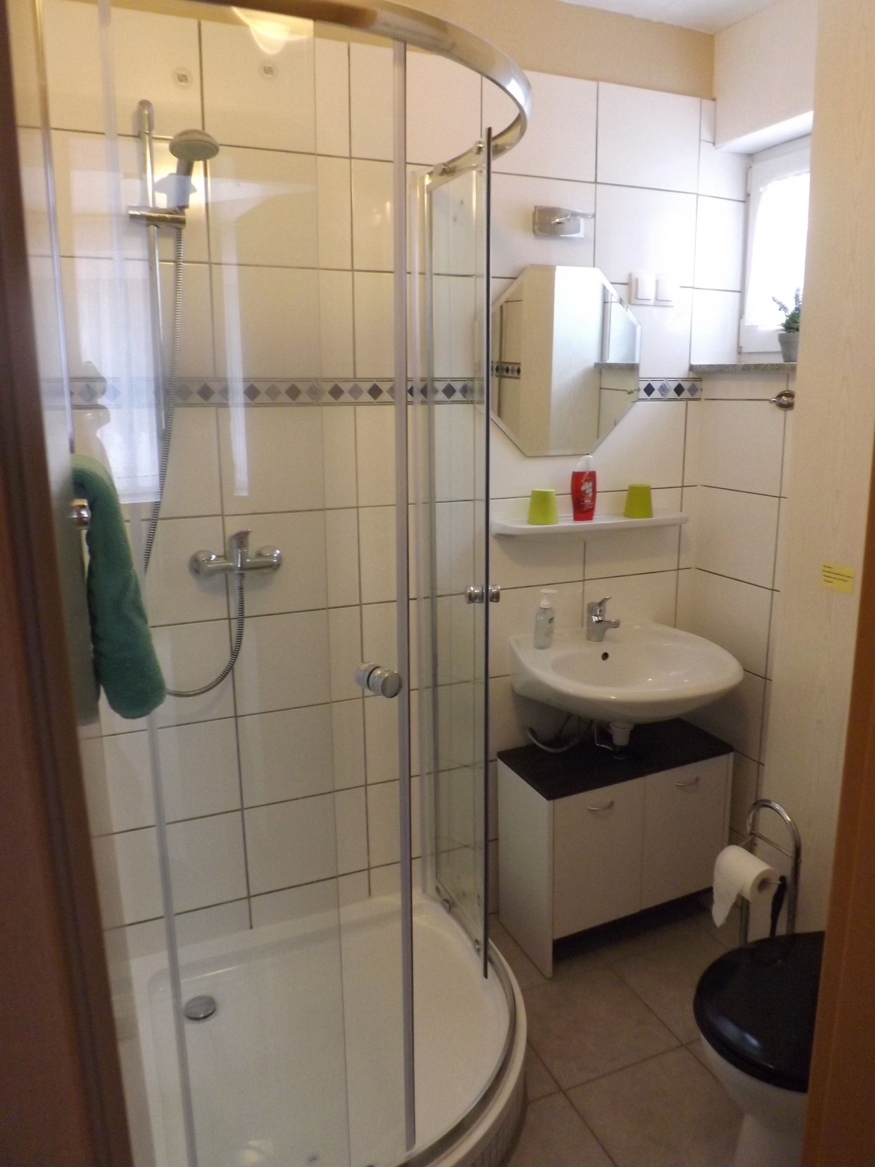 A bathroom with a glass-enclosed shower, a white sink, and a toilet.