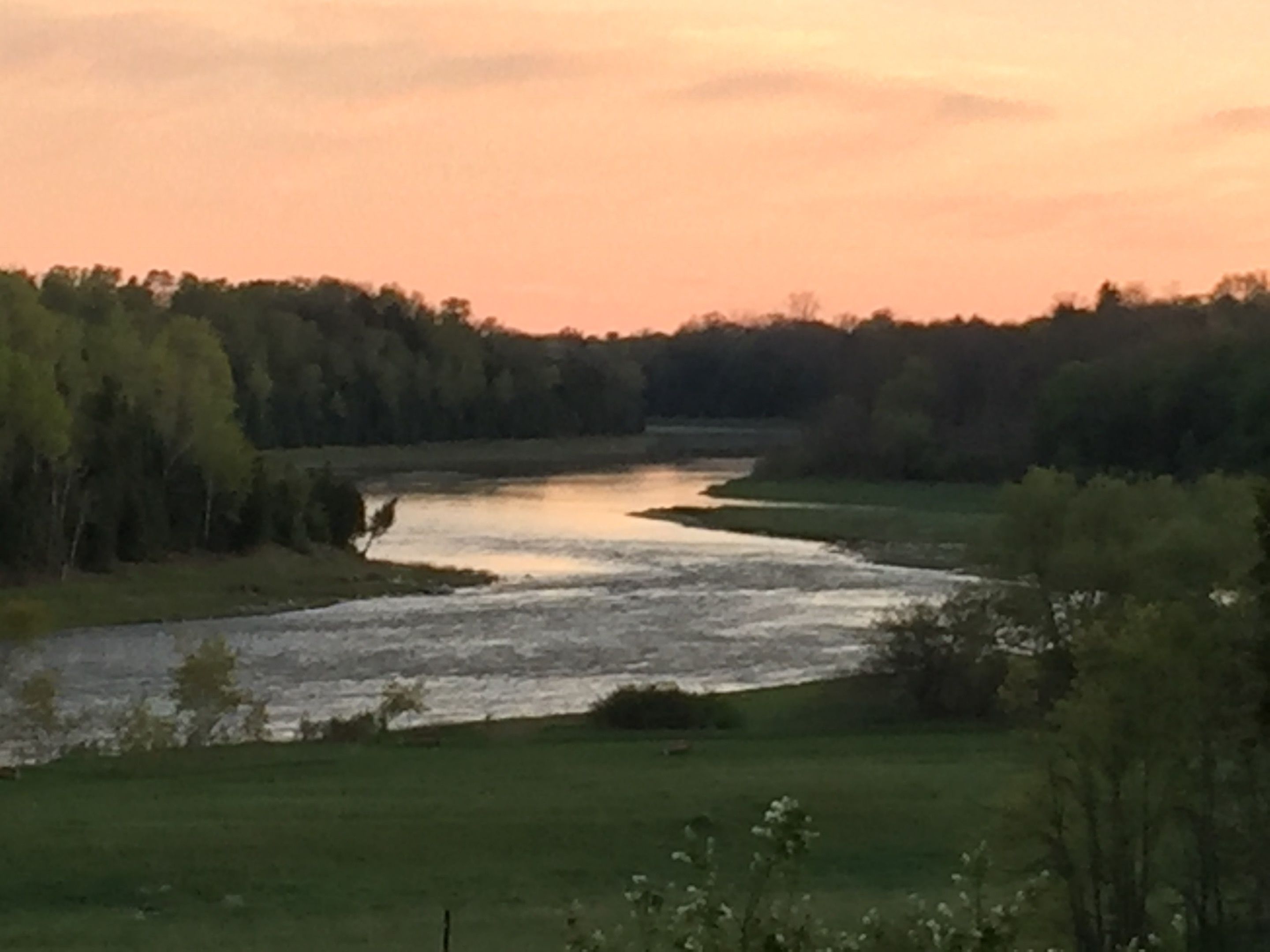 A river flowing through a green landscape with trees on both sides.