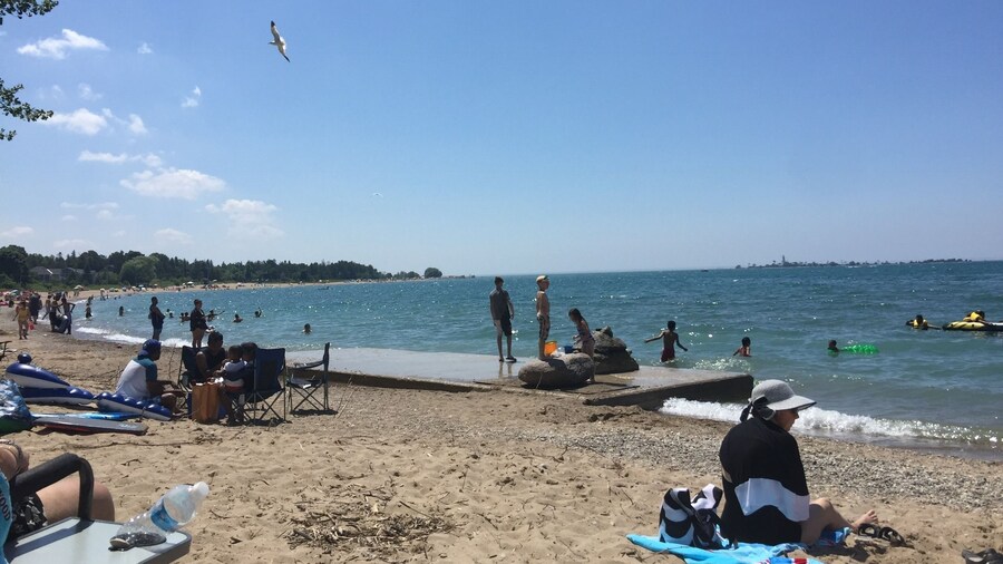 The Shores