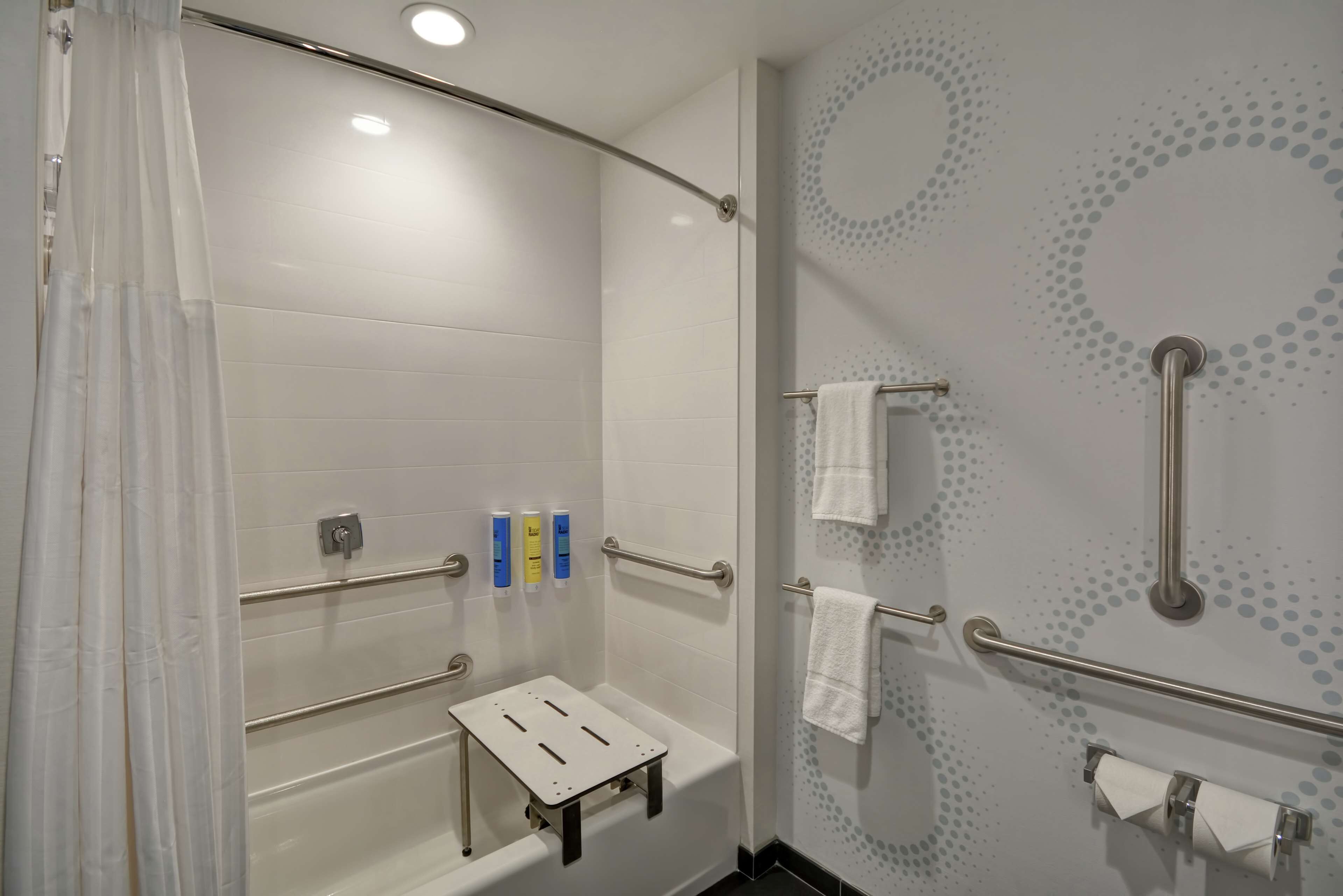 room, 1 king bed, accessible, bathtub (mobility & hearing) | bathroom | shower, free toiletries, hair dryer, towels