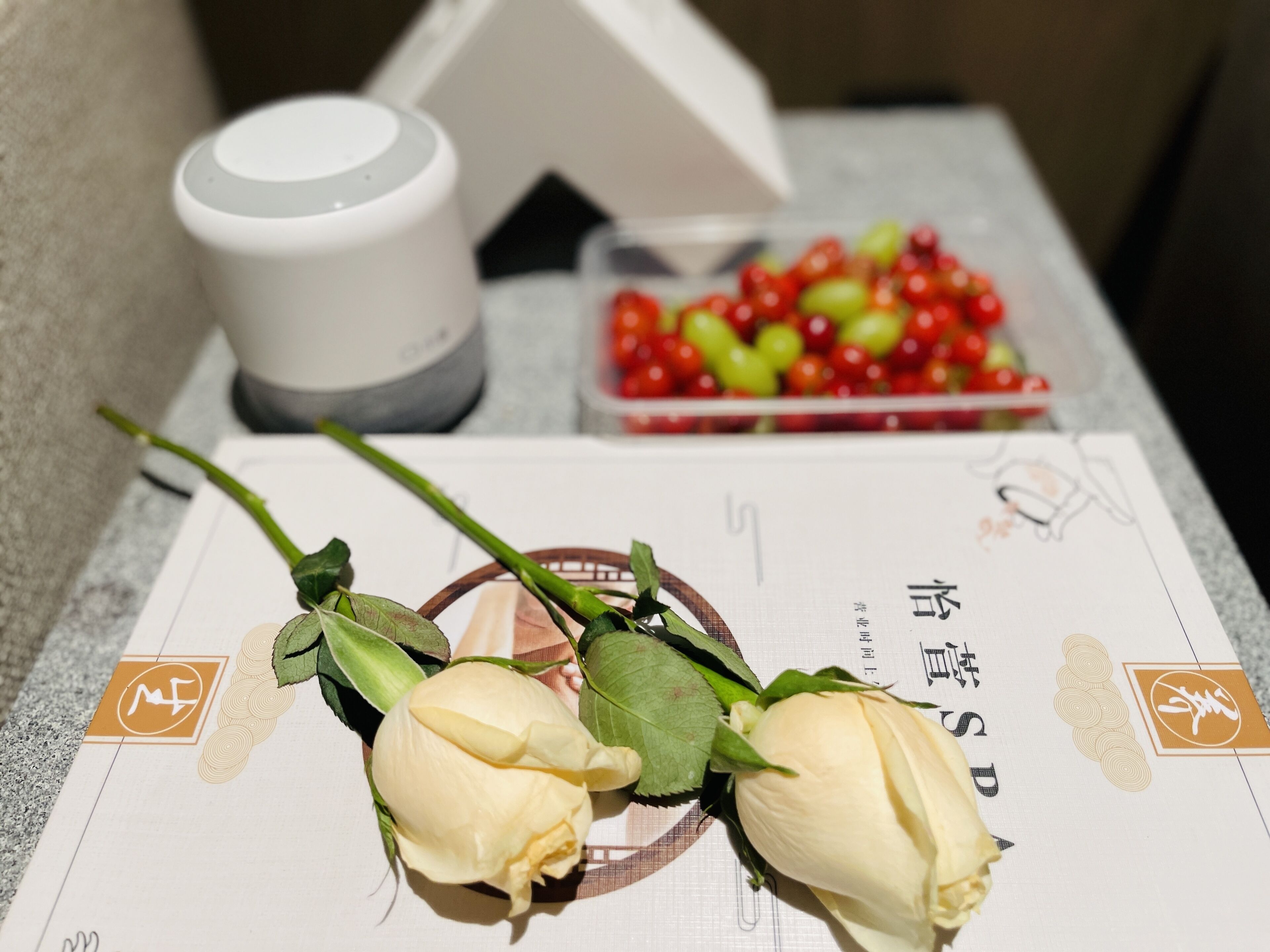 A table with a white rose, a green stem, and a white cup.