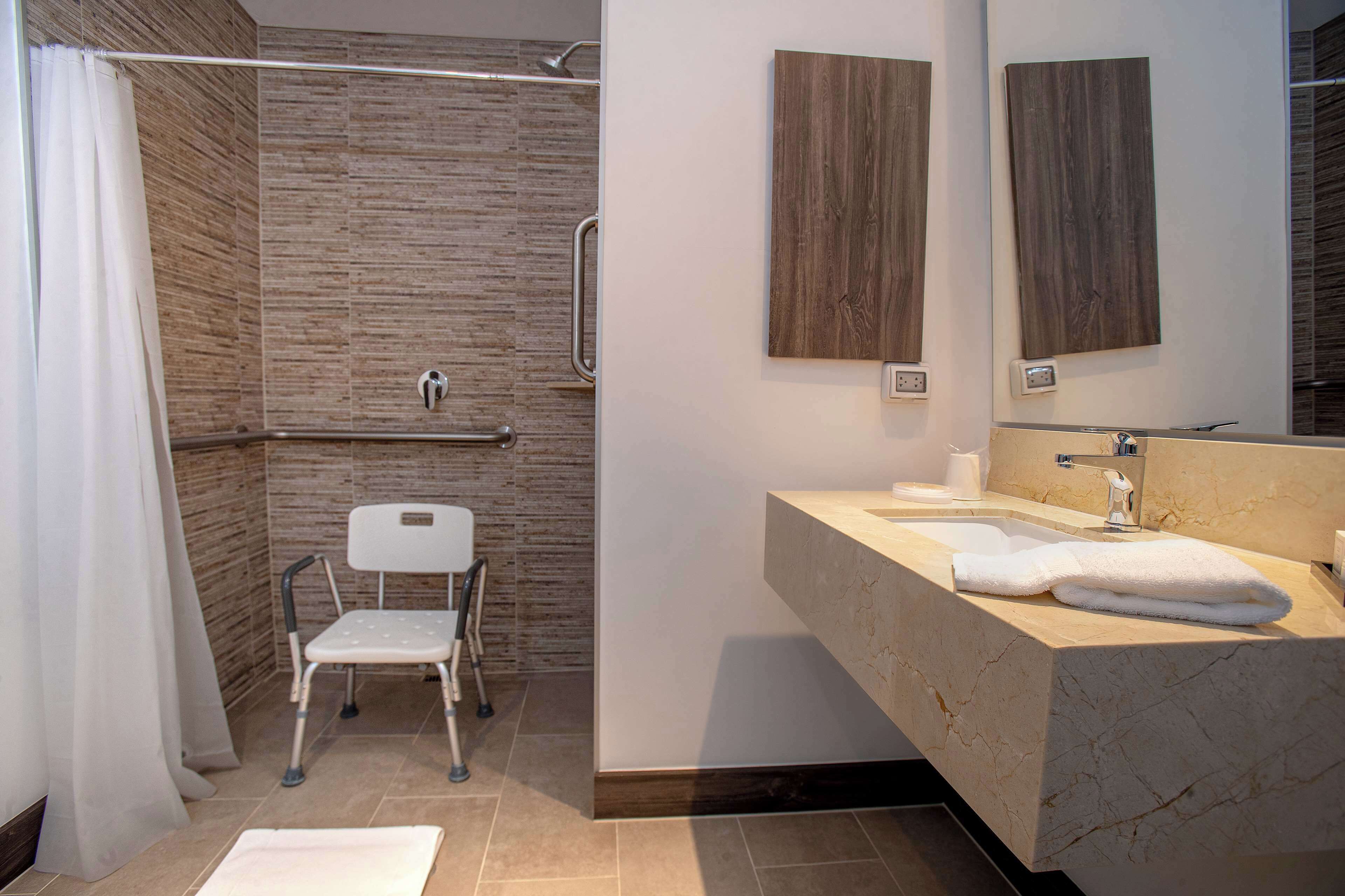 room, 1 queen bed, accessible | bathroom shower