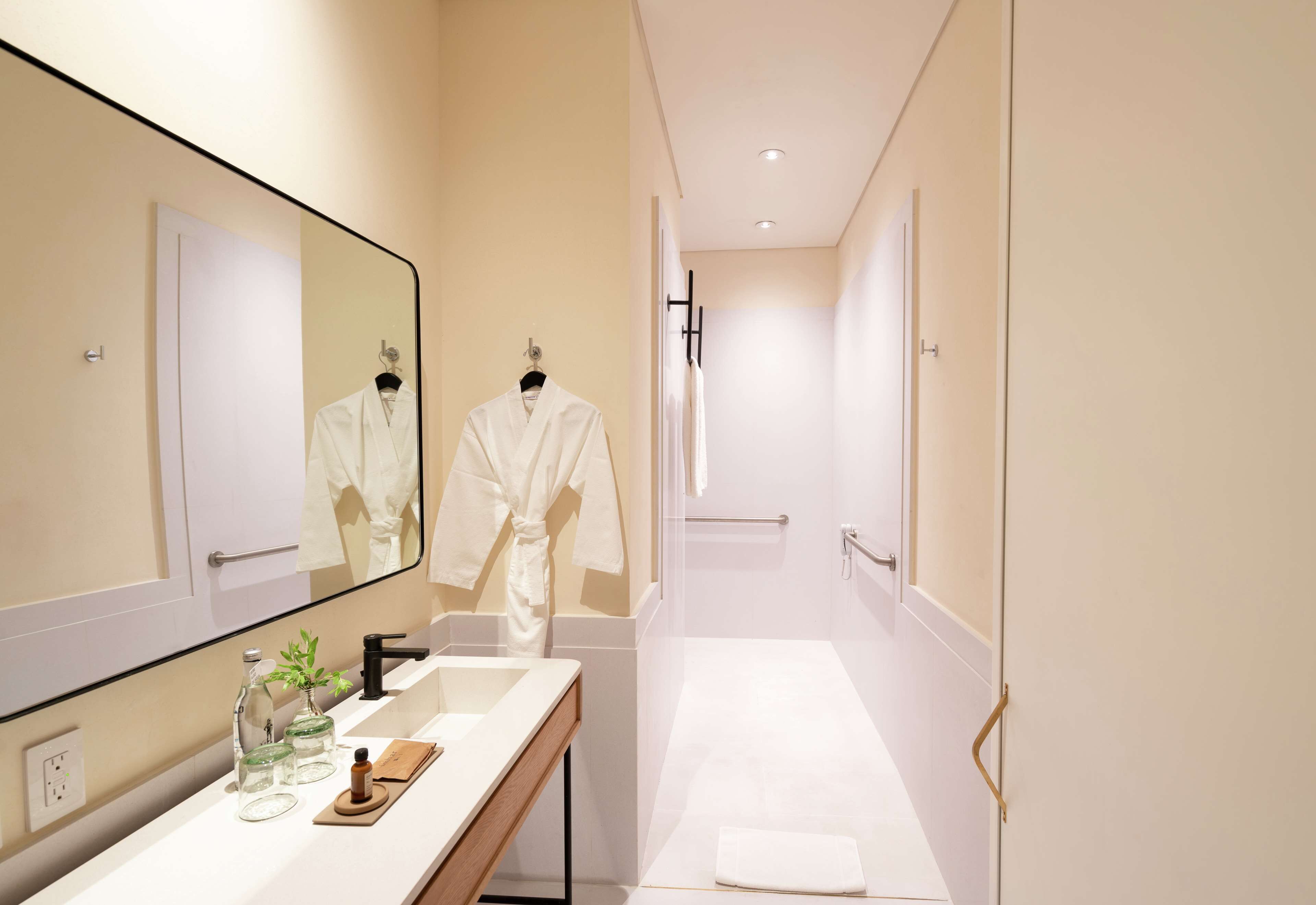 room, 1 king bed, accessible (roll-in shower) | bathroom | eco-friendly toiletries, hair dryer, towels, soap
