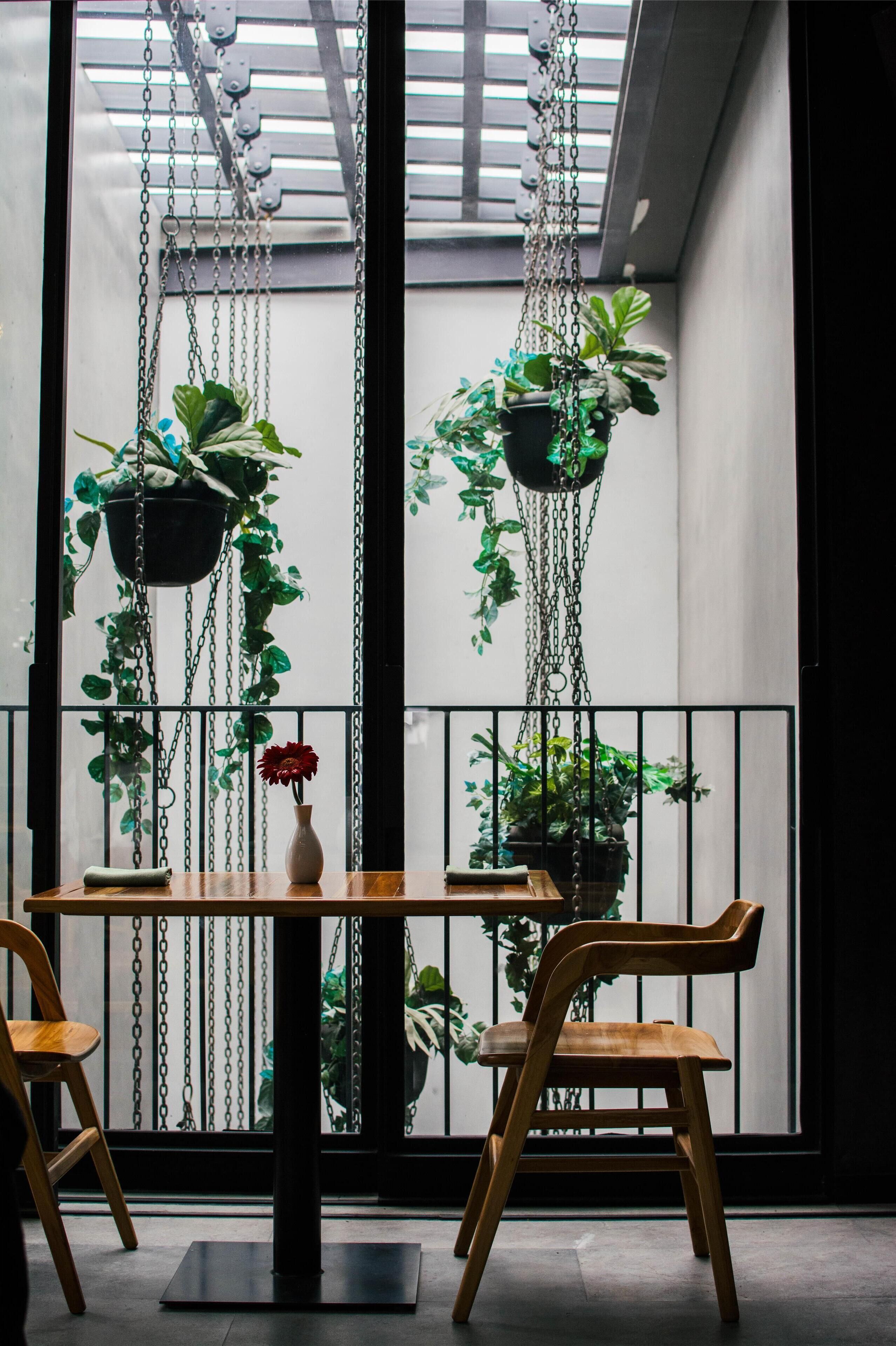 A room with a wooden table, two chairs, a vase with a red flower, and hanging plants.