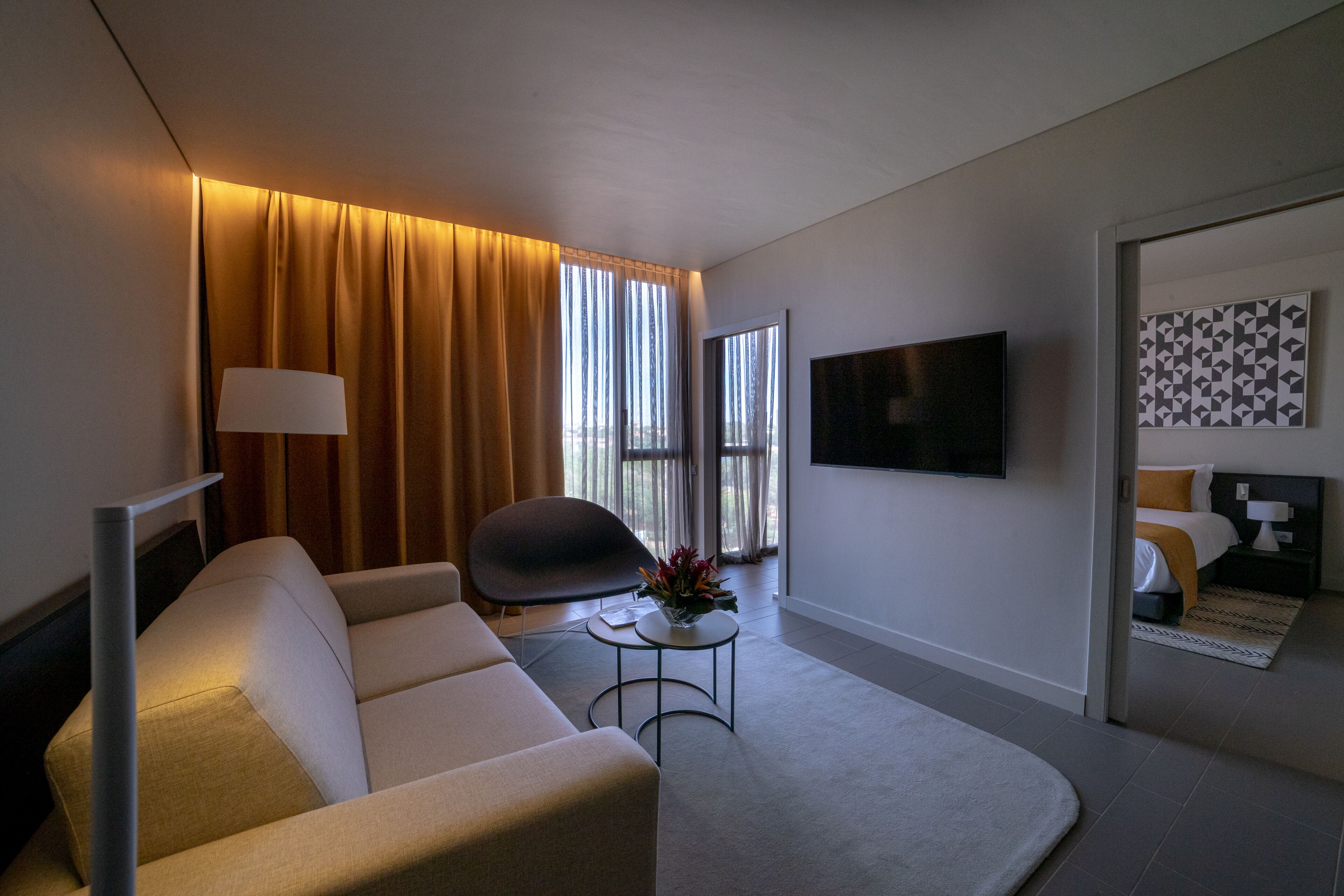 plasma tv, pay films