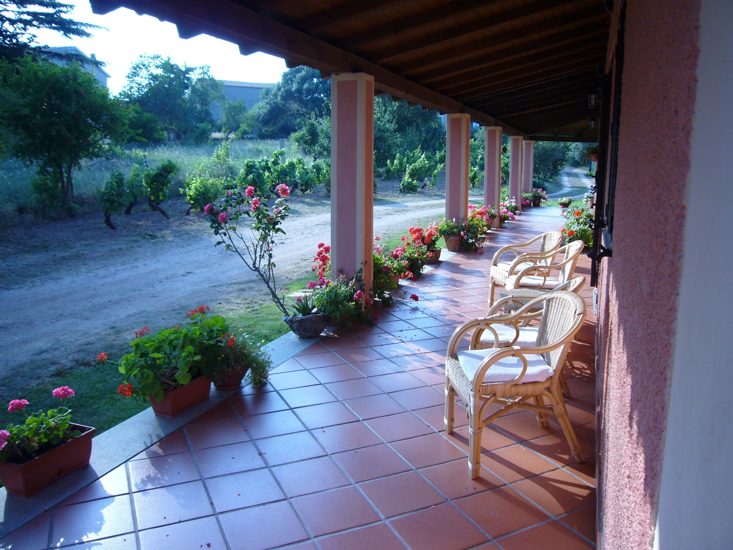 Terrace/patio