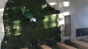 未分類圖片，第 3 張 (共 17 張)，按鈕