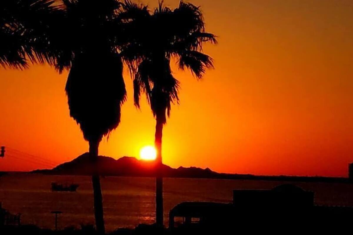Room, 1 Double Bed, Ocean View | Beach/ocean view