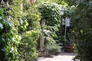 Tuin