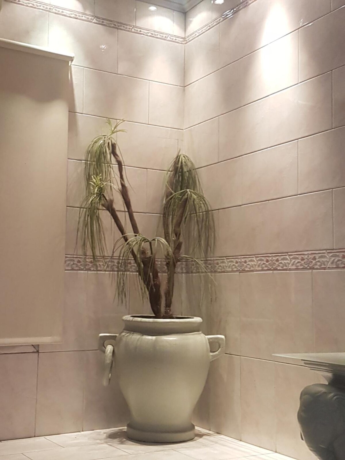 Ducha, artículos de higiene personal gratuitos, bidé y toallas