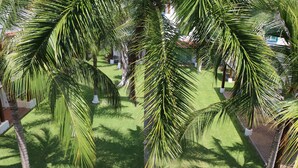 Garden view - Ixtapa Exclusiva Villa en la Zona Hotelera (Ixtapa)