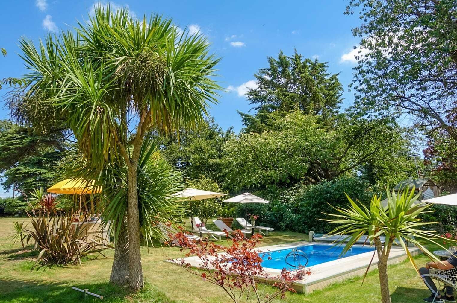 A backyard with a swimming pool, palm trees, and outdoor furniture.