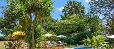 A backyard with a swimming pool, palm trees, and outdoor furniture.