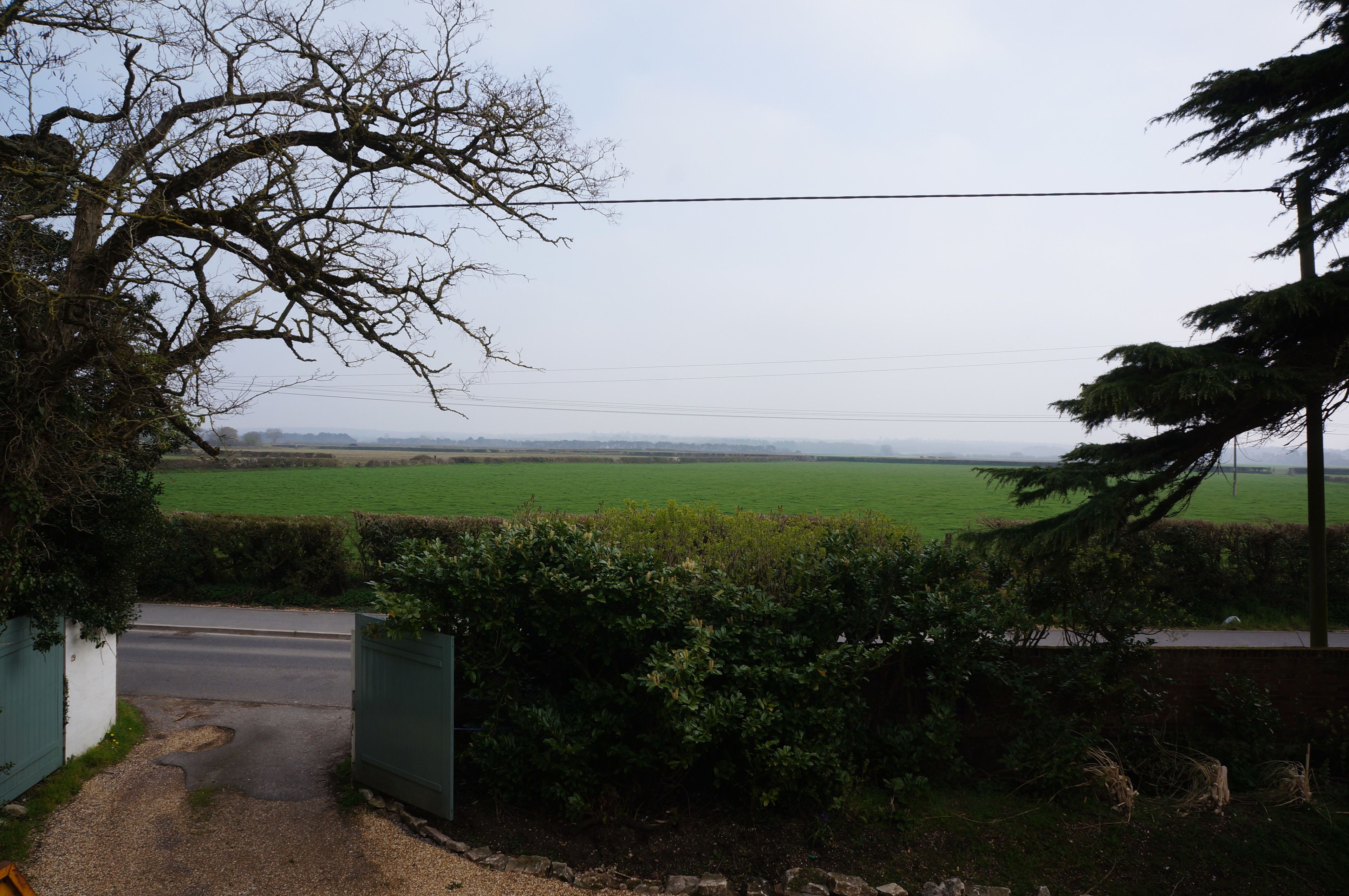 Un paysage rural avec une route menant à un champ verdoyant.