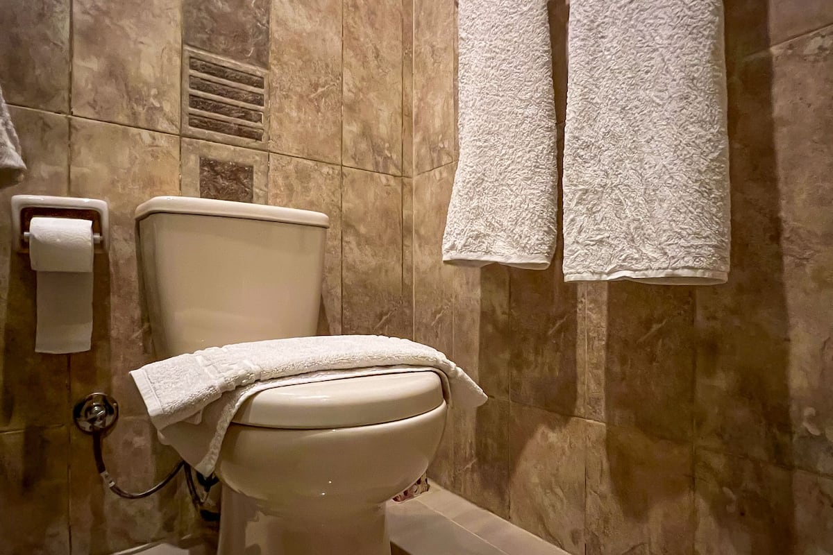 shower, rainfall showerhead, hair dryer, bidet