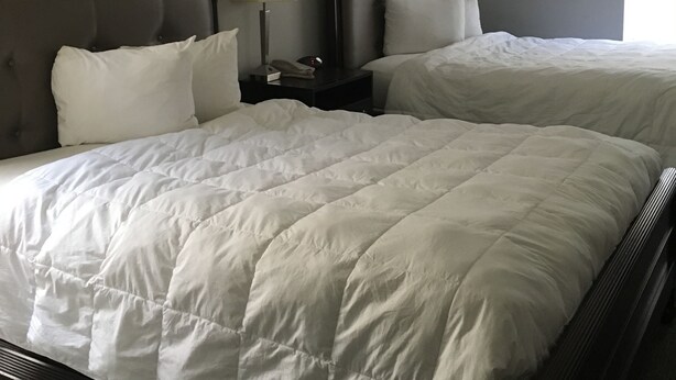 A hotel room with two beds, a nightstand with a lamp, and a window. - Ambassador Inn And Suites (Manchester)