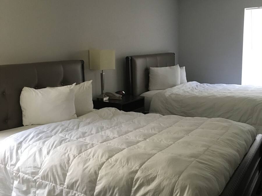 Căn hộ Executive, 2 giường cỡ queen | Trang trí khác biệt, trang bị nội thất với thiết kế riêng biệt, bàn