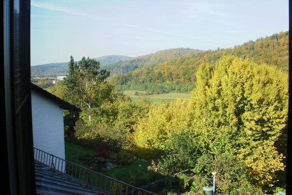 Ferienwohnung Haus Schipper am Wald (DG) - mit toller Aussicht-Blick in den Spessart
