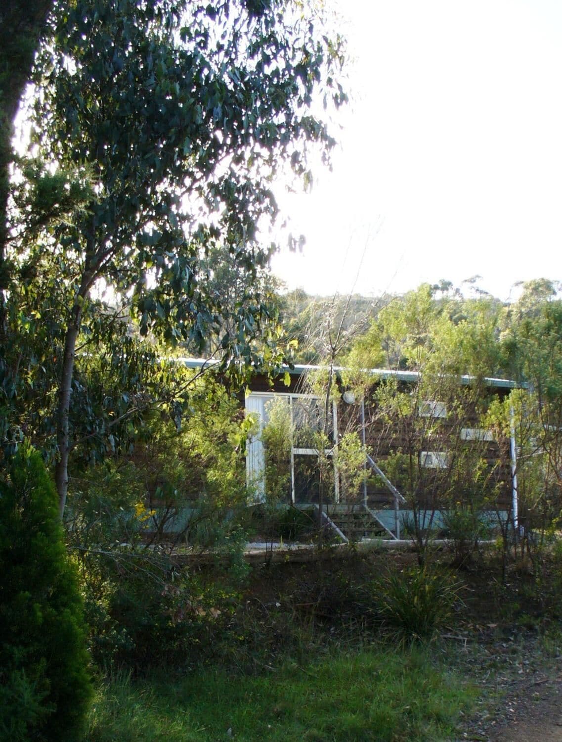 A fenced area with a metal structure, possibly a bridge or gate, surrounded by dense greenery and trees.